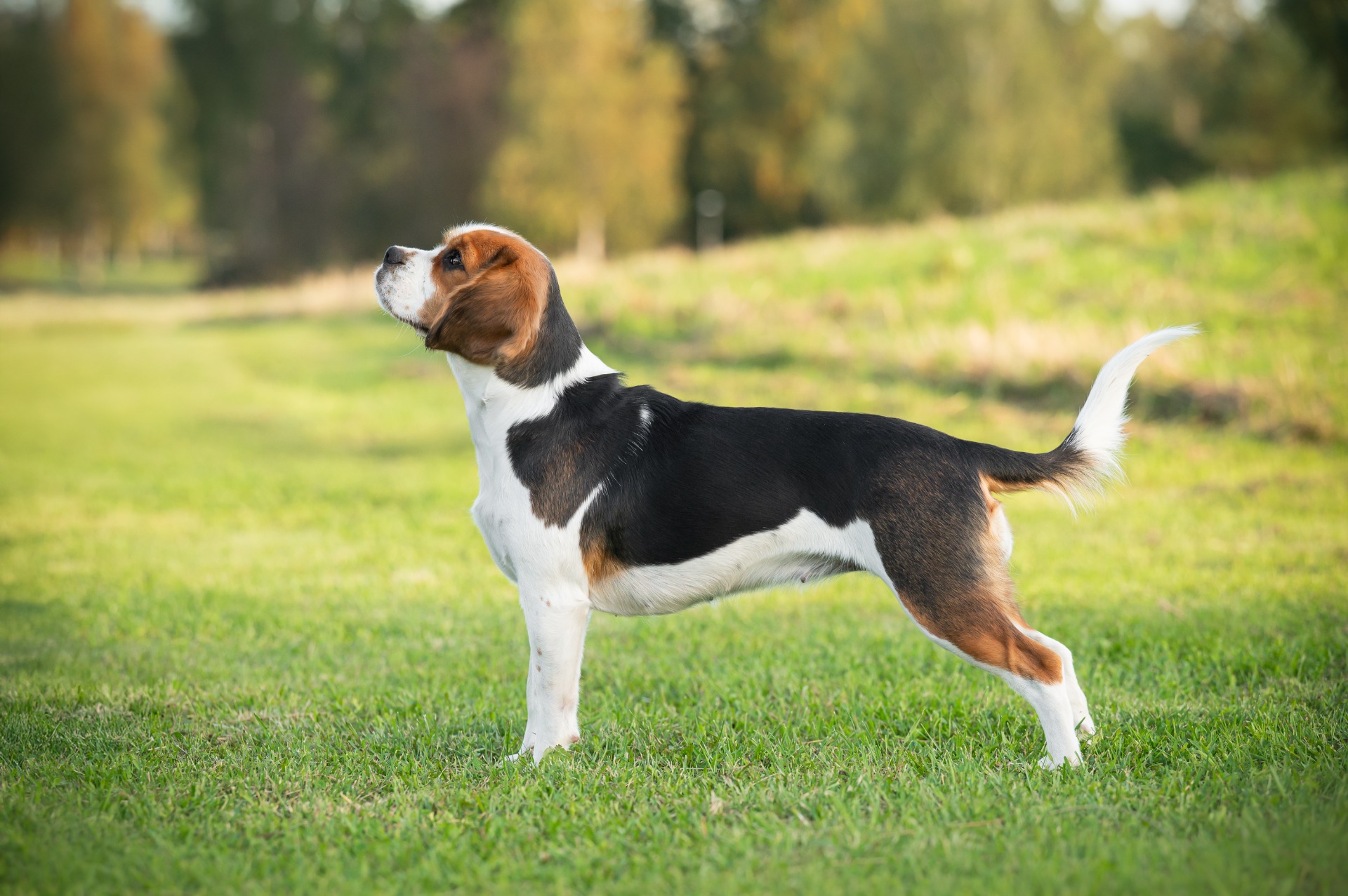 kuvaaja: Diana Kortelahti